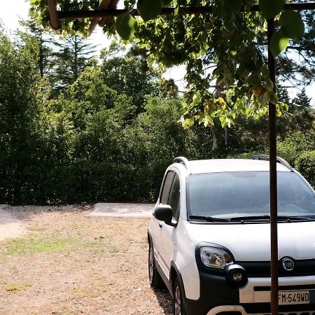 Manjsa Hisa Savudrija Alberi Zraven Petram Naselja Hotel Цървени Връх Екстериор снимка